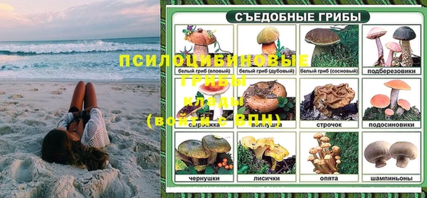 шишки Гусь-Хрустальный