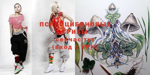 гашишное масло Дмитриев