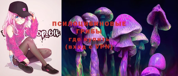 дурь Дмитров