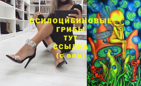 дурь Дмитров