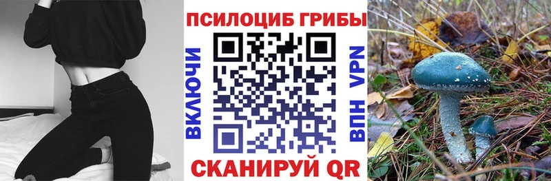 Купить закладки  Кукмор  Псилоцибиновые грибы GOLDEN TEACHER 